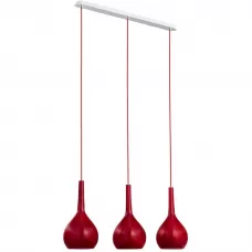 20513