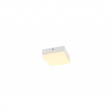 41651