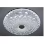 LED LAMPS 81072