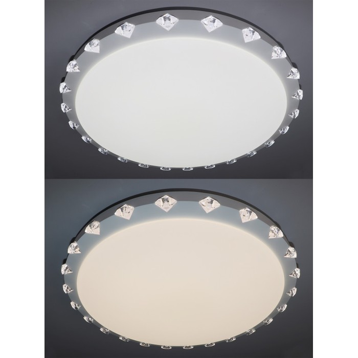 LED LAMPS 81074