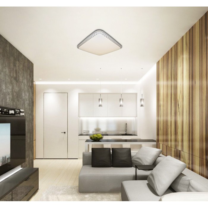 LED LAMPS 81080