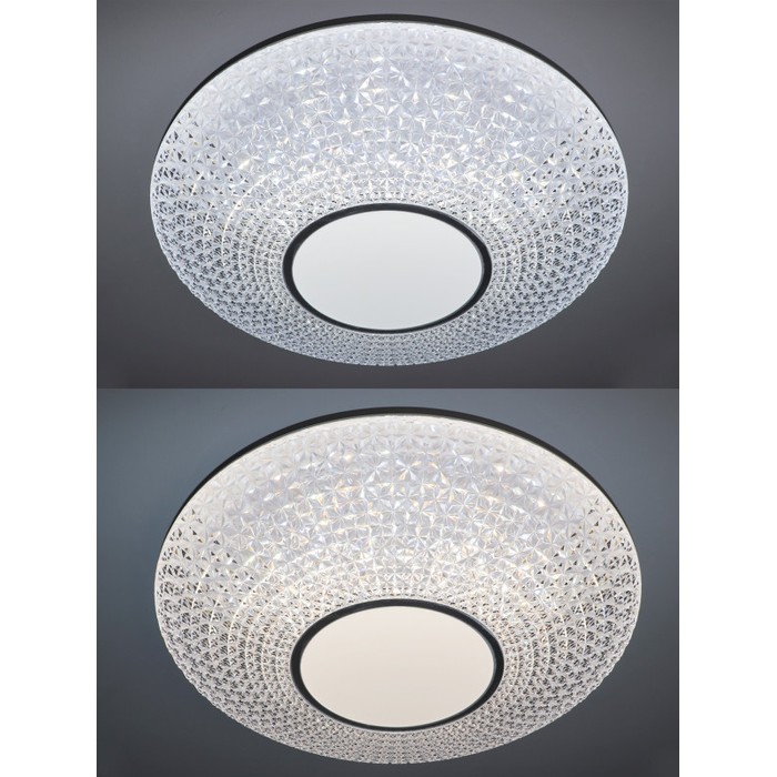 LED LAMPS 81236
