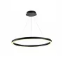 S111028/1 D800 Black
