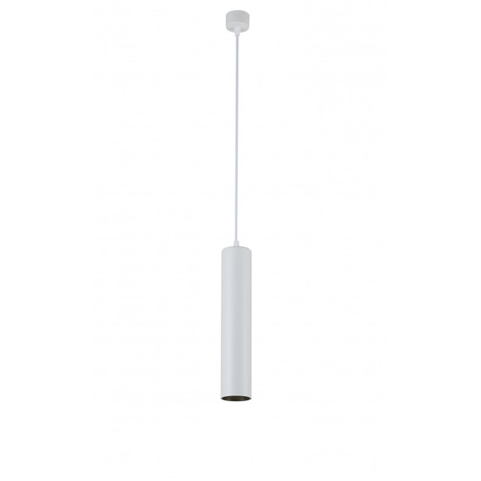 2049-LED10PLW