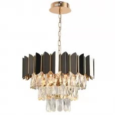 DARIAN II 81448/5C GOLD BLACK