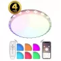 LED LAMPS 81074