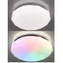 LED LAMPS 81100