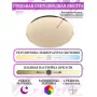 LED LAMPS 81100