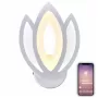 LED LAMPS 81124/1W