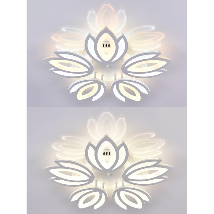 LED LAMPS 81124