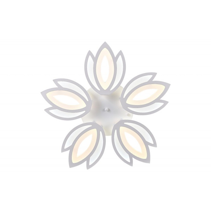 LED LAMPS 81124