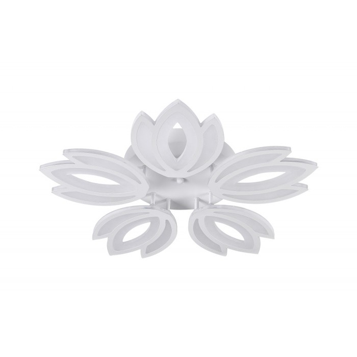 LED LAMPS 81124