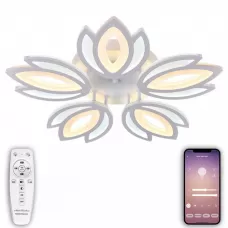 LED LAMPS 81124