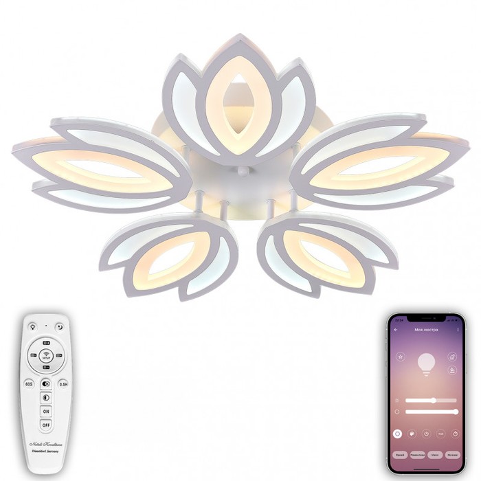 LED LAMPS 81124