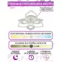 LED LAMPS 81203