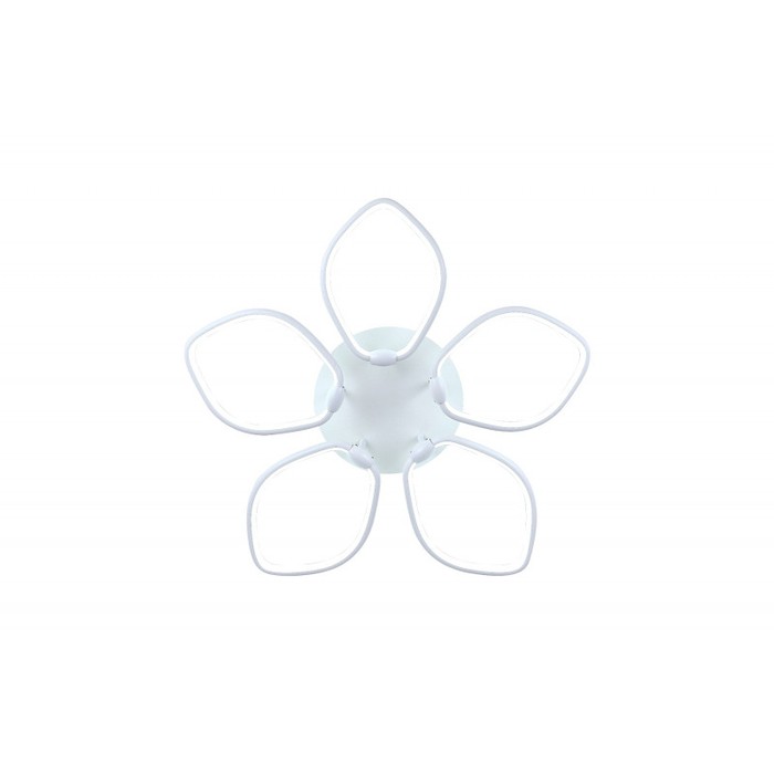 LED LAMPS 81210