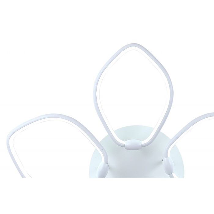LED LAMPS 81210