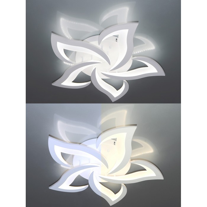 LED LAMPS 81212