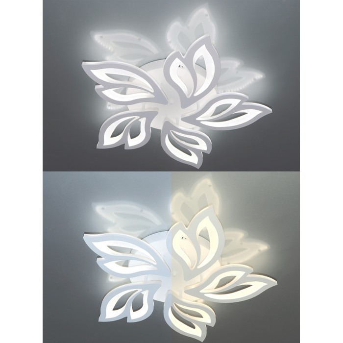 LED LAMPS 81216