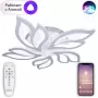 LED LAMPS 81216