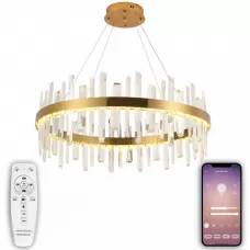 LED LAMPS 81256