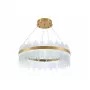 LED LAMPS 81262
