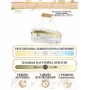 LED LAMPS 81274