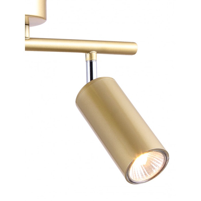 TRINITY 76055/2W GOLD SATIN