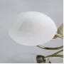 267011805