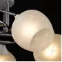 324014805