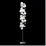 10008F white
