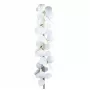 10008F white