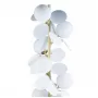 10008F white