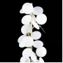 10008F white