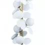 10008F white