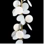 10008F white