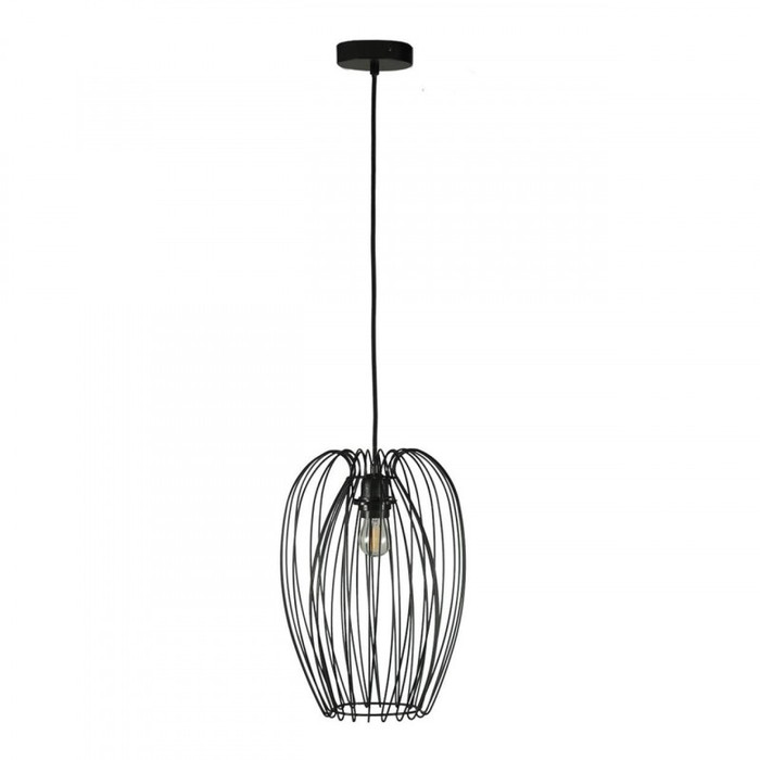 10031 Black