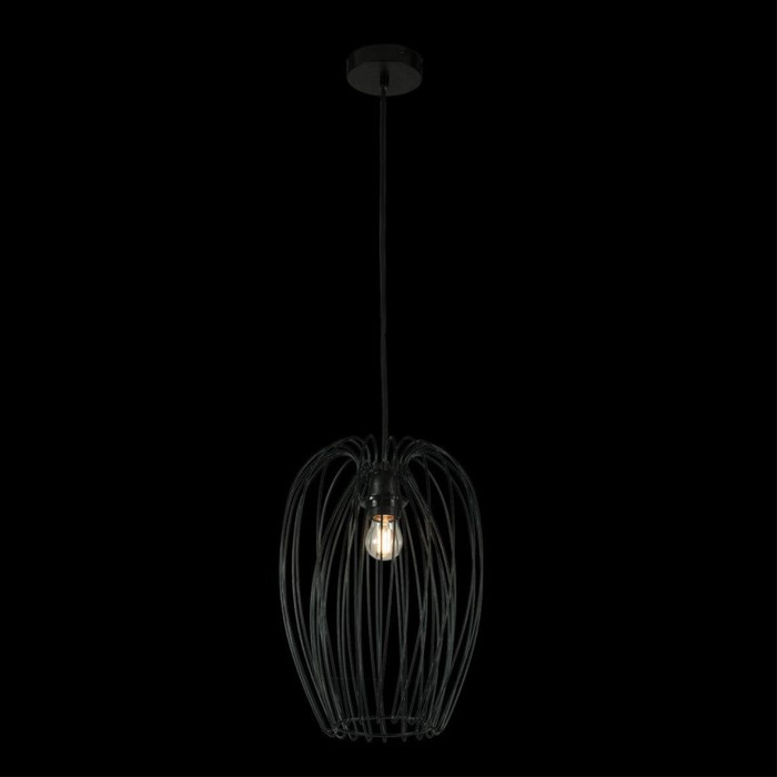 10031 Black