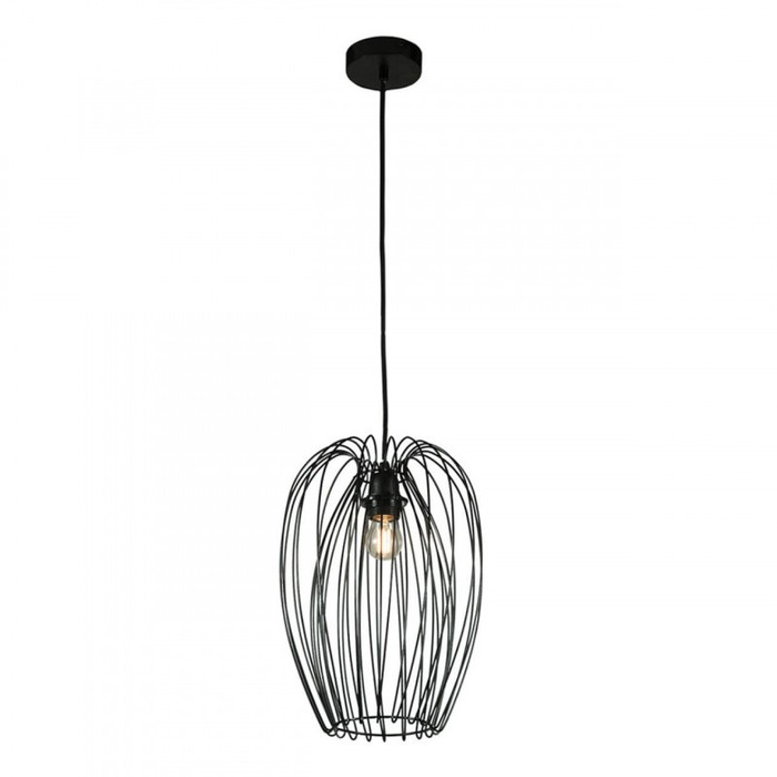 10031 Black
