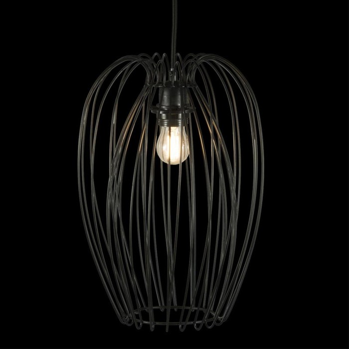 10031 Black