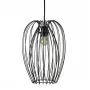 10031 Black