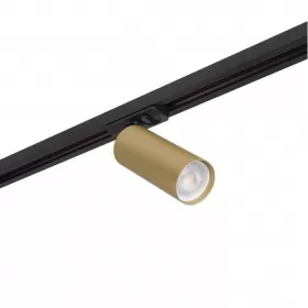 DK6202-BG