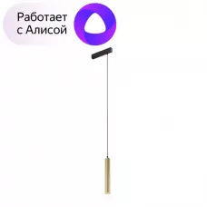 DK8008-BG