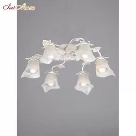 V1636-0/6PL