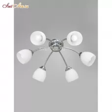 V3446/6PL
