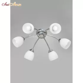 V3446/6PL