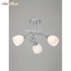 V3454/3PL