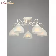 V3498-0/5PL