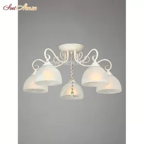 V3498-0/5PL