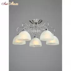 V3560-9/5PL